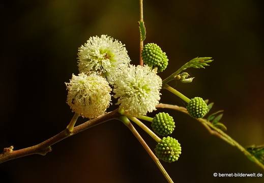 16-03-04-san sebastian-richtung leuchtturm-076