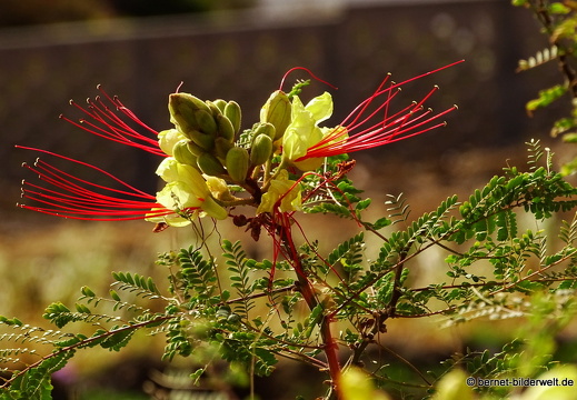 16-03-04-san sebastian-richtung leuchtturm-092