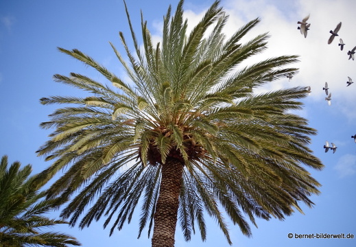 16-02-29-san sebastian-park-045