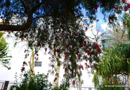 16-02-29-san sebastian-park-roter zylinderputzer-
