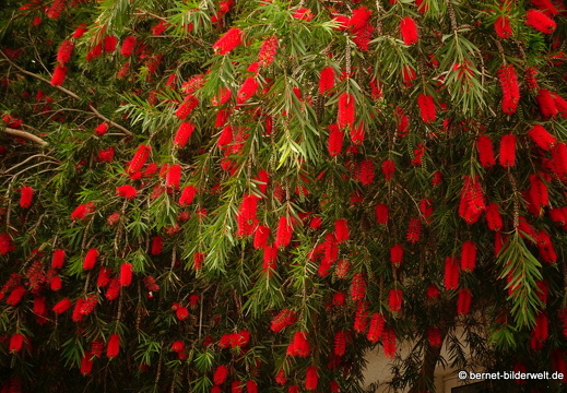 16-03-02-san sebastian-222