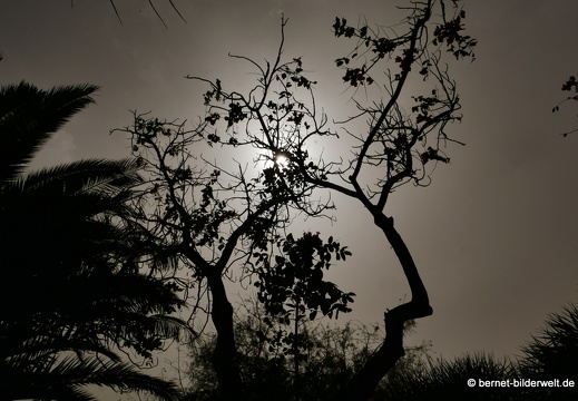 16-03-02-san sebastian-park-031