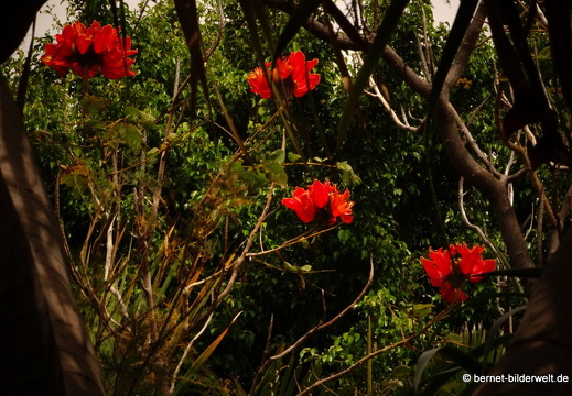16-03-02-san sebastian-park-060