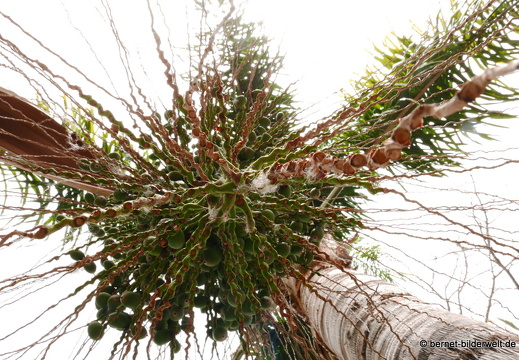 16-03-02-san sebastian-park-076