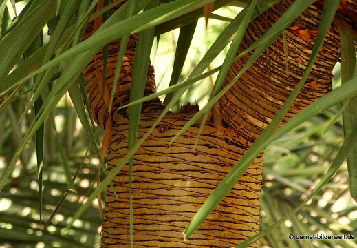 16-03-04-san sebastian-park-014