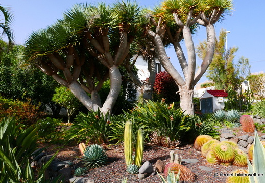 16-03-04-san sebastian-richtung leuchtturm-036