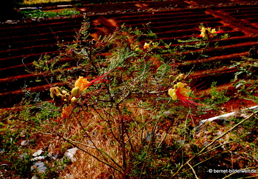 16-03-04-san sebastian-richtung leuchtturm-103