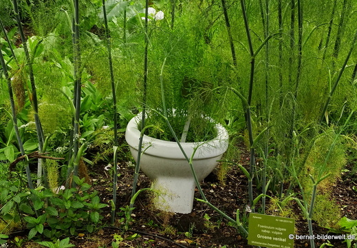 16-07-04-botanische-tuinen-081