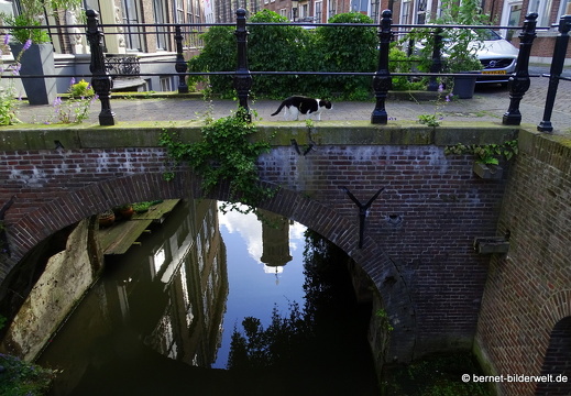 16-07-06-an der drift-001