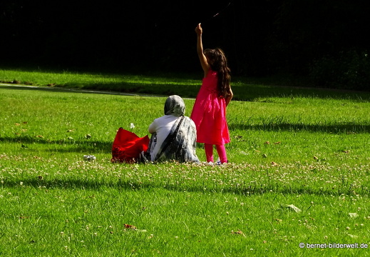 16-07-06-transwijk-park-001