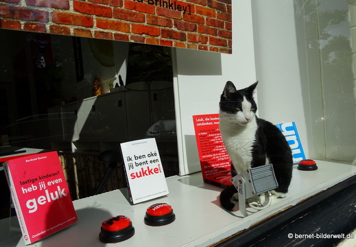 16-07-06-zentrum-schaufenster-schild-002