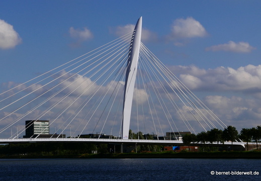 16-07-08-am rhein-063