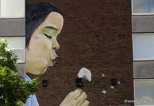 16-07-08-am rhein-graffito-002