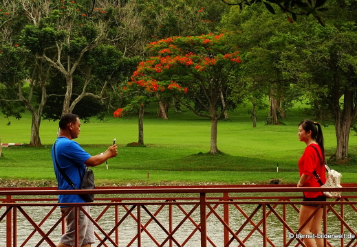 16-12-28-melaka-zoo-317