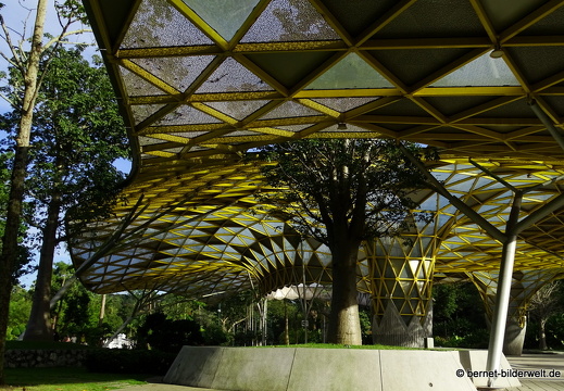 17-01-06-kl-botanischer garten-perdana-008