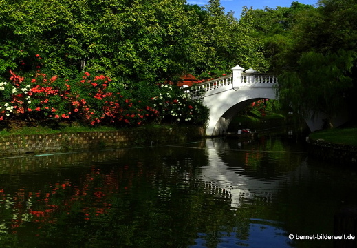 17-01-06-kl-botanischer garten-perdana-025