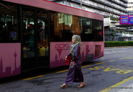 17-01-09-kl-forest eco park-nach chinatown-003