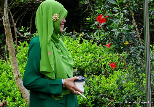 17-01-12-cameron valley-040