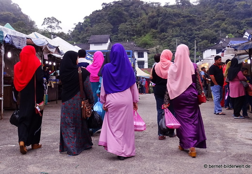 17-01-13-brinchang-nachtmarkt-026