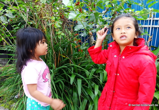 17-01-13-brinchang-nachtmarkt-109