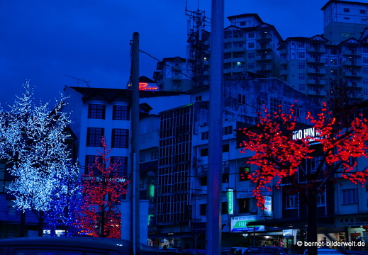 17-01-14-brinchang-zentrum baum-beleuchtung-weihnachtsmotiv-025