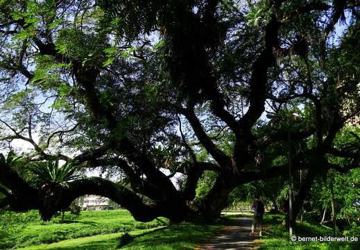 17-01-18-ipoh-altstadt-087