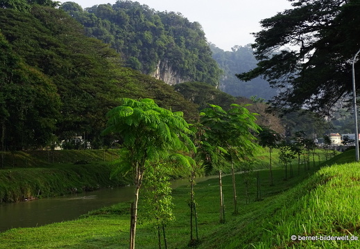 17-01-19-ipoh-dr seenivasagampark-077
