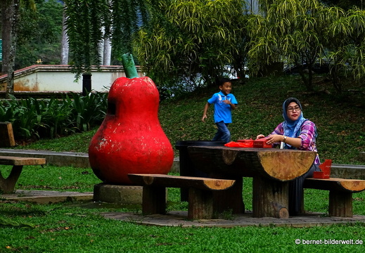 17-01-21-kk-erster rundgang-sungai kangsar-027