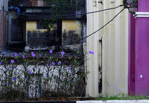 17-01-28-taiping-city-chinesisches neujahr-030