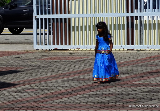 17-01-28-taiping-city-chinesisches neujahr-231