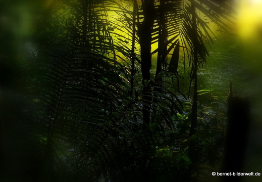 17-02-04-sungai sedim-005