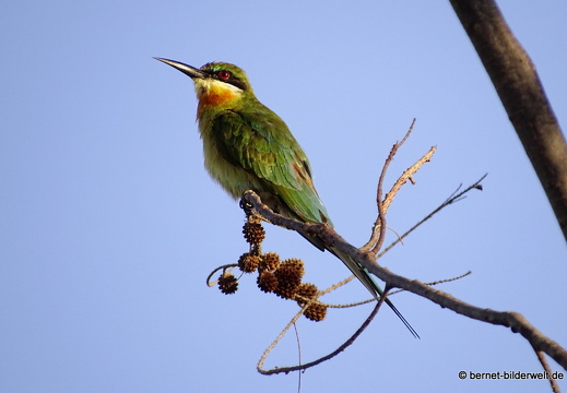 17-01-01-melaka-am meer-046