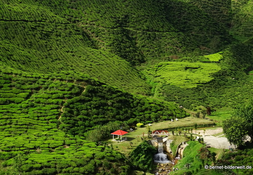 17-01-12-cameron valley-007