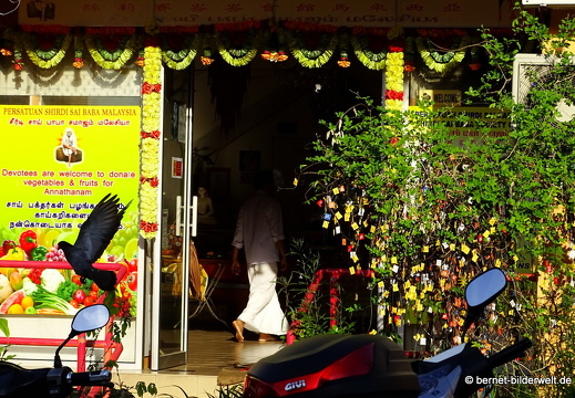 17-02-10-georgetown-city-106