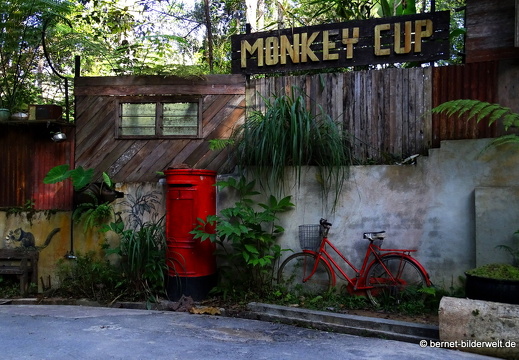 17-02-15-penang hill-089