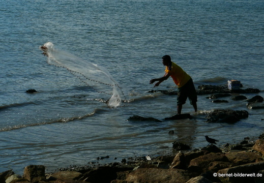 17-02-18-bayanlepas-am meer-fischer-009