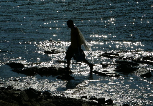 17-02-18-bayanlepas-am meer-fischer-015