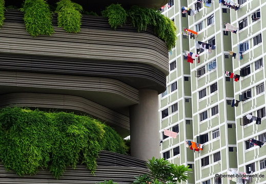 17-02-22-singapur-bustour-730