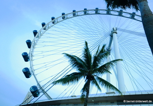 17-02-22-singapur-flyer-007