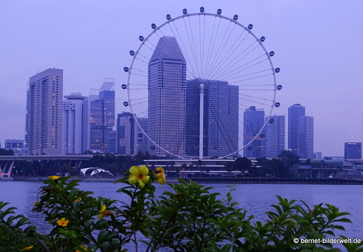 17-02-24-gardensbythebay-041