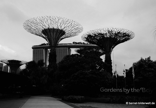 17-02-24-gardensbythebay-083