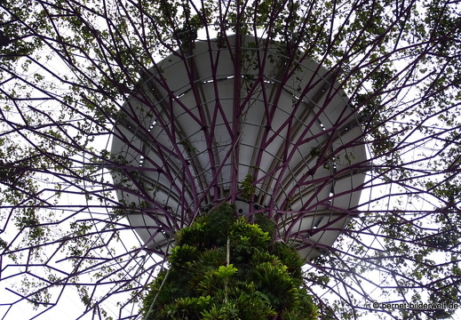 17-02-24-gardensbythebay-092