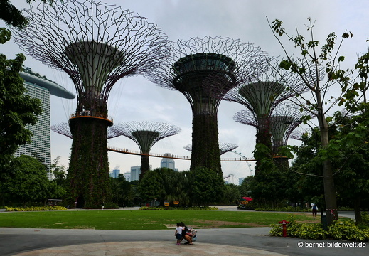 17-02-24-gardensbythebay-281