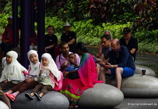 17-02-24-gardensbythebay-398