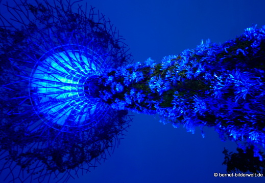 17-02-24-gardensbythebay-daemmerung-004