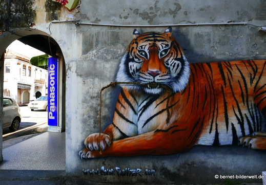 17-02-10-georgetown-city-streetart-050