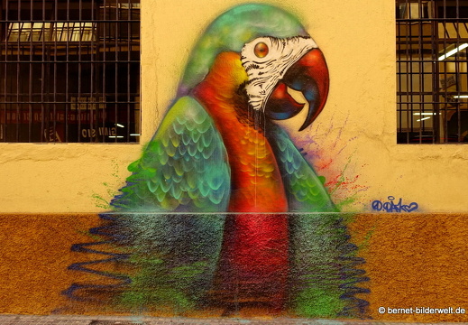 17-10-20-malaga-palmenvoegel-010