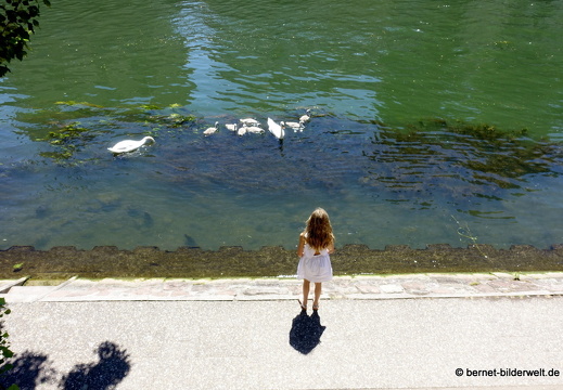17-06-18-strasbourg-zentrum-029