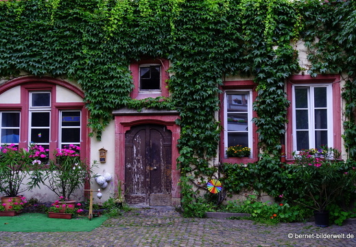 17-06-18-strasbourg-zentrum-309