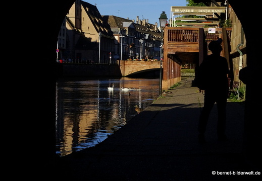 17-06-19-strasbourg-ill-.2017 07-35-47